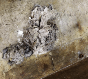 what not to flush
